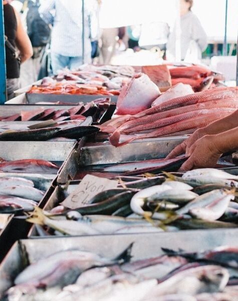 Fish Market